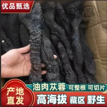 肉苁蓉藏区野外高海拔原产地包邮炖汤泡茶药食同源