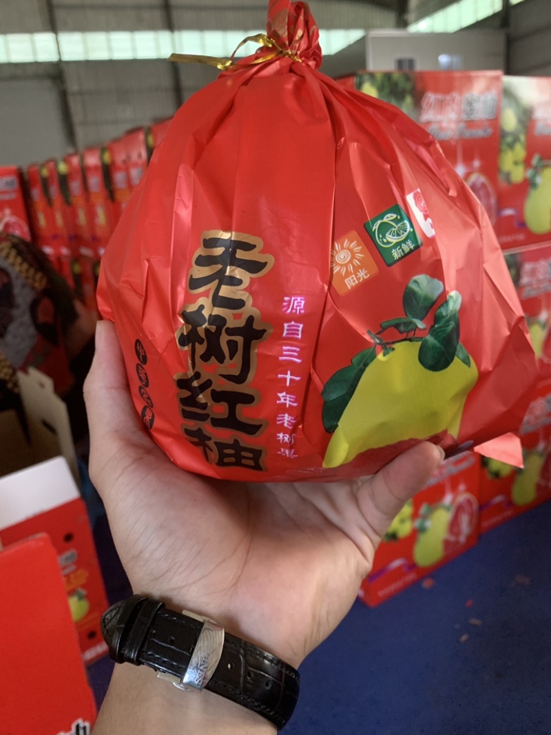福建平和红心柚，三红柚，黄心柚，白心柚，大量现货供应