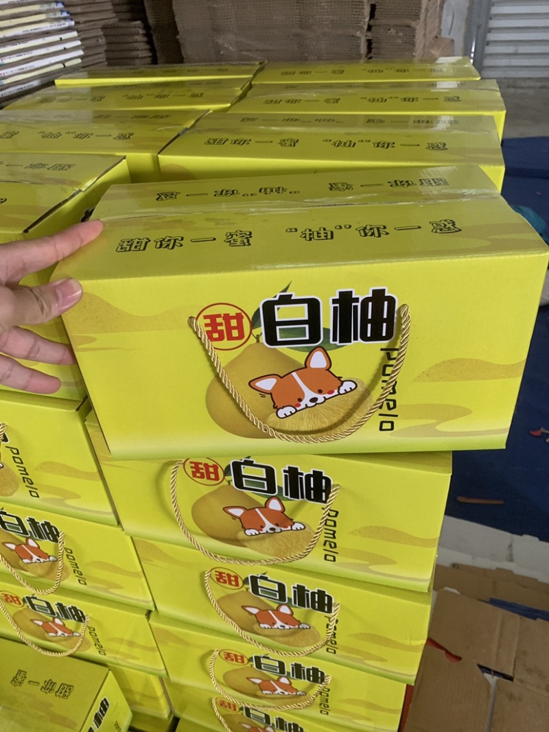 平和琯溪蜜柚礼盒装，工厂直发，招团长，主播，带货达人