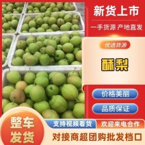 基地各品种酥梨已上市，量大从优，欢迎各位老板前来洽谈！