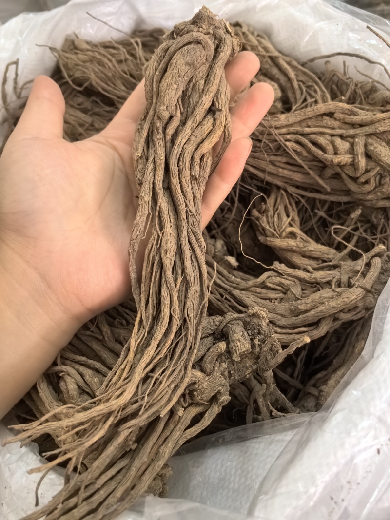 当归当归个无硫当归个珉归个多种规格七彩百草中药材批