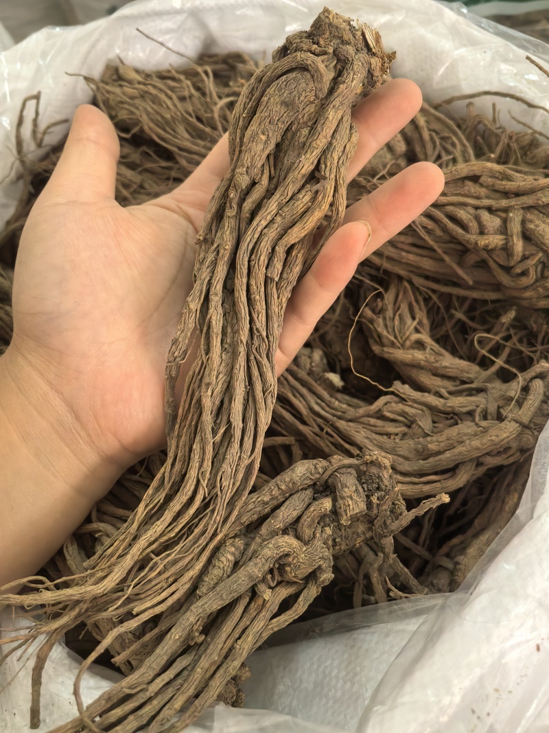 当归当归个无硫当归个珉归个多种规格七彩百草中药材批