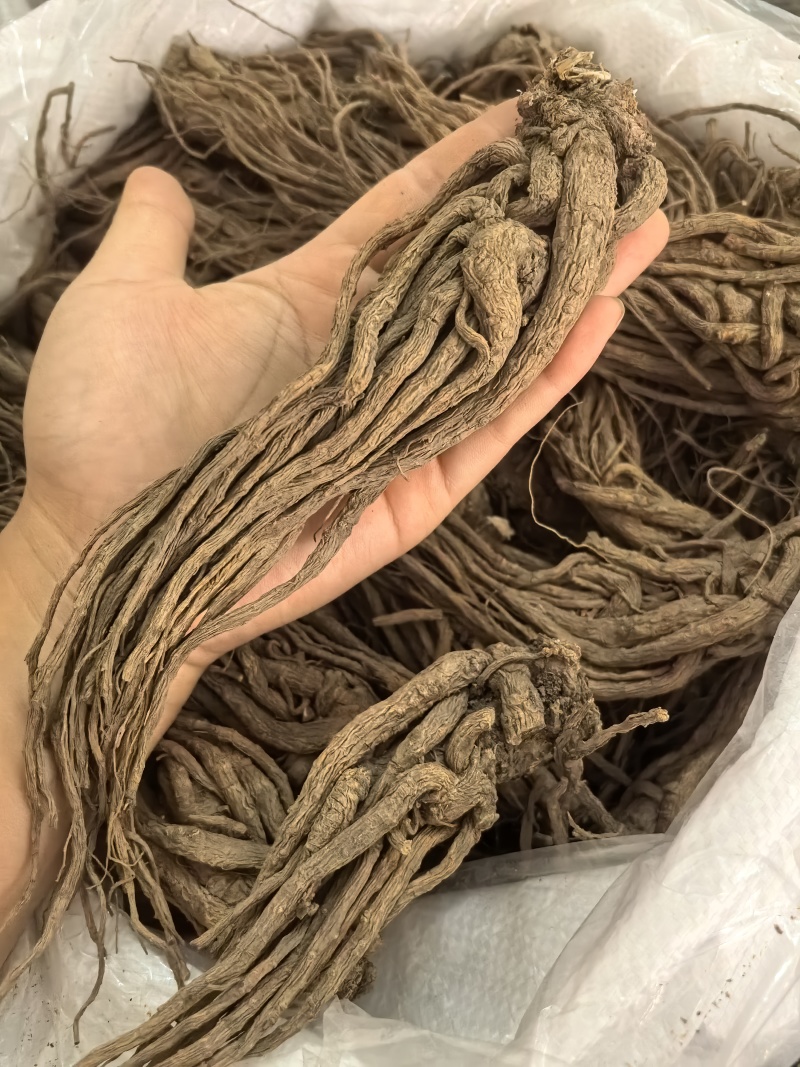 当归当归个无硫当归个珉归个多种规格七彩百草中药材批