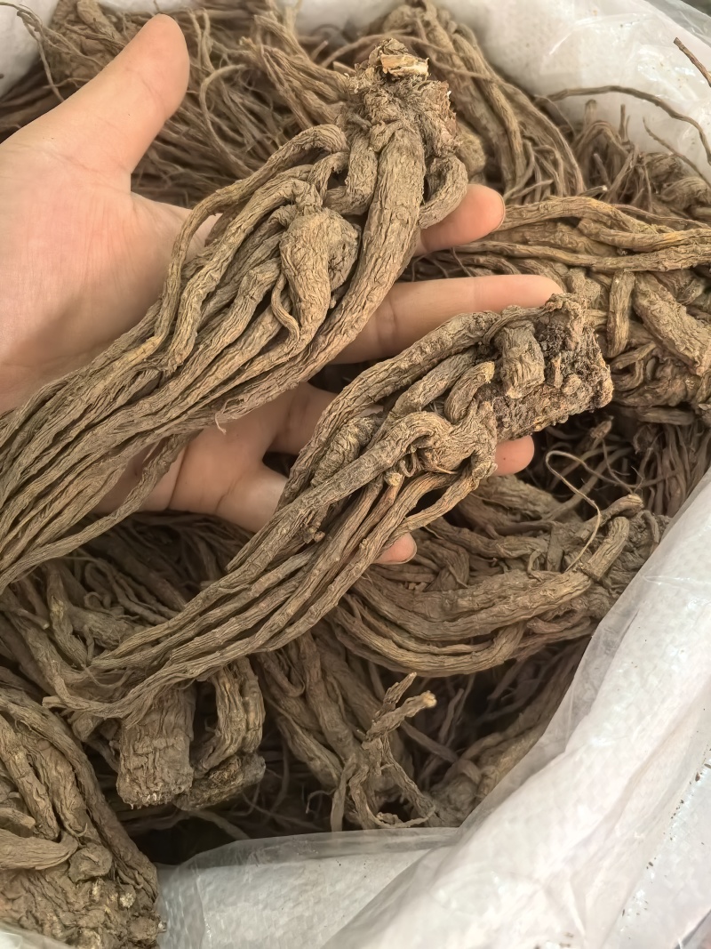 当归当归个无硫当归个珉归个多种规格七彩百草中药材批