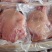 牛头肉纯干牛头肉块可做分装