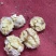杂果手摘棍打40.45都有