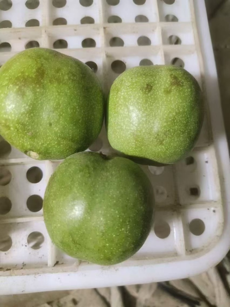 杂果手摘棍打精品
