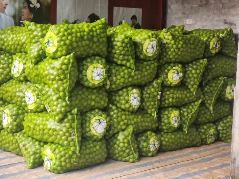 杂果手摘棍打精品