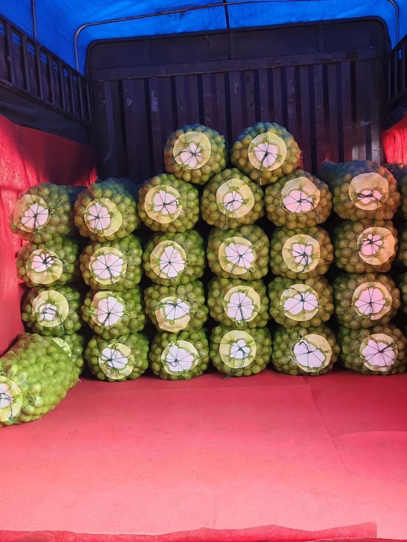 杂果手摘棍打精品