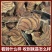 广西之乡野生鸡血藤及进口老挝鸡血藤一手货源量大从优欢迎