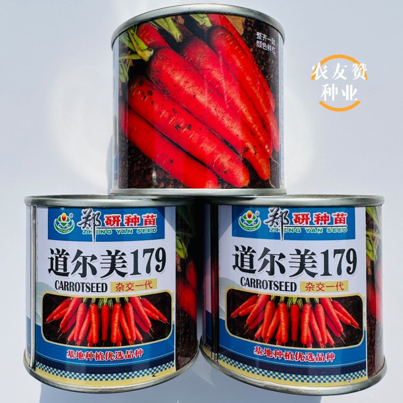 道尔美179胡萝卜种子杂交一代品种皮肉芯三红胡萝卜种籽