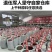 精选2024新货去核山楂片干货手工切片泡茶煮水无籽