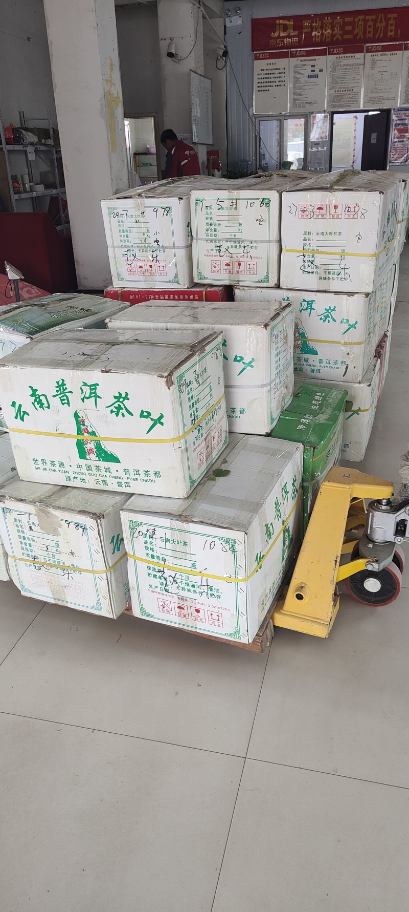 淫羊藿种苗基地直销甘肃省陇南市发货中药材种苗优选健康新鲜
