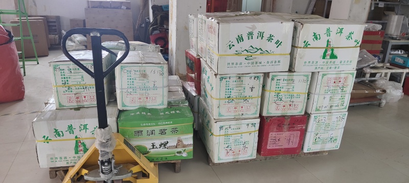 淫羊藿种苗基地直销甘肃省陇南市发货中药材种苗优选健康新鲜
