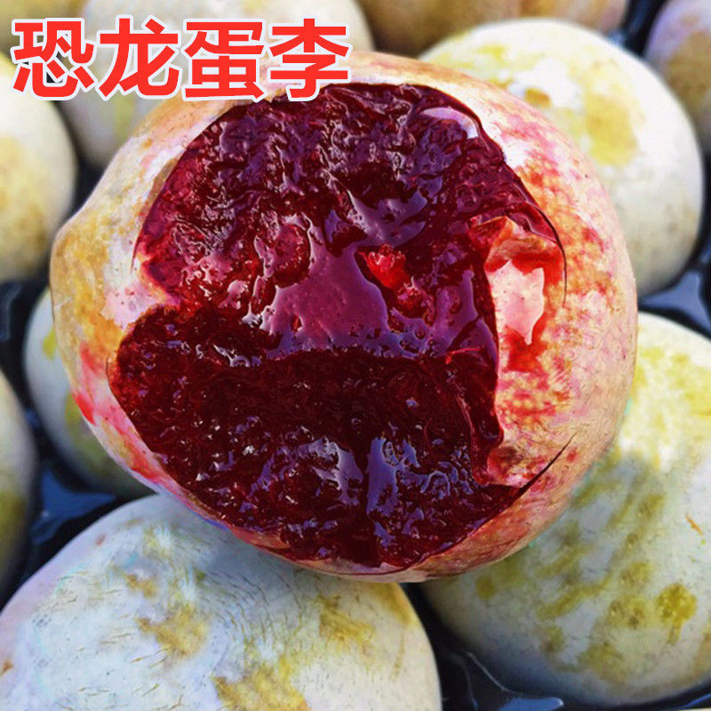 洛阳恐龙蛋李子杏李红心糖度高果园直发对接全国诚信