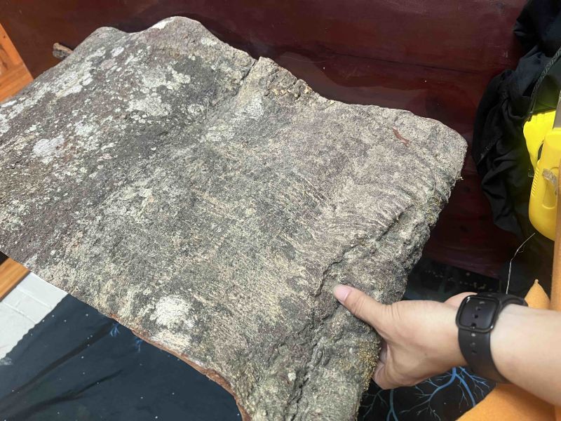 百年肉桂，工艺品