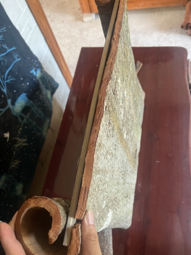 百年肉桂，工艺品