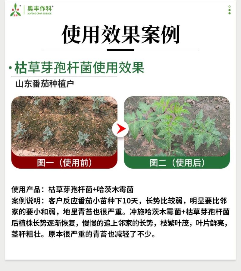 枯草芽孢杆菌微生物菌剂抗重茬防治根腐病枯萎病青枯病等土