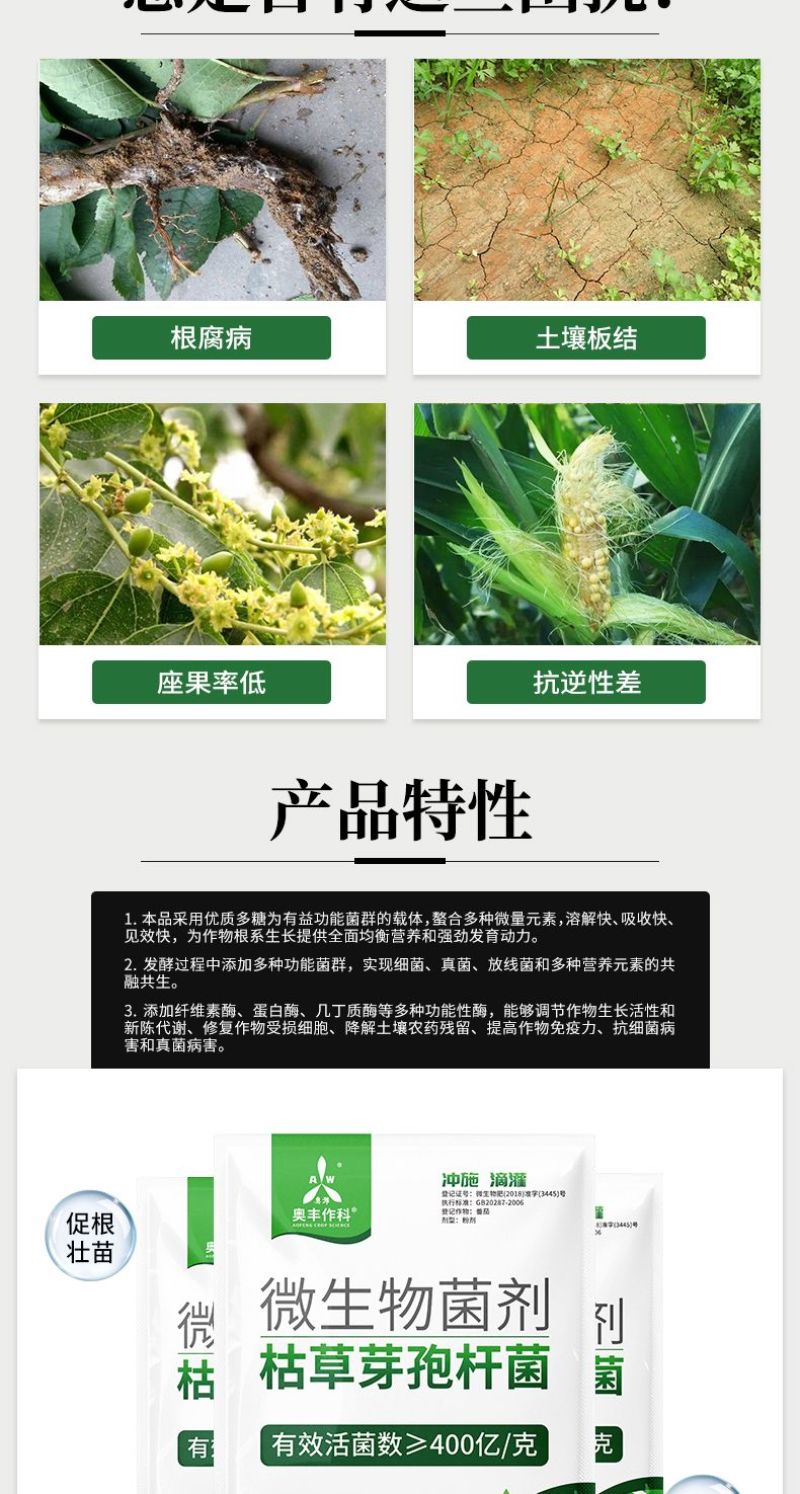 枯草芽孢杆菌微生物菌剂抗重茬防治根腐病枯萎病青枯病等土