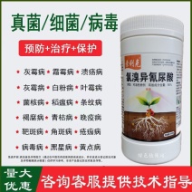 50%氯溴异氰尿酸杀菌剂番茄青枯病柑橘溃疡病魔芋软腐病等