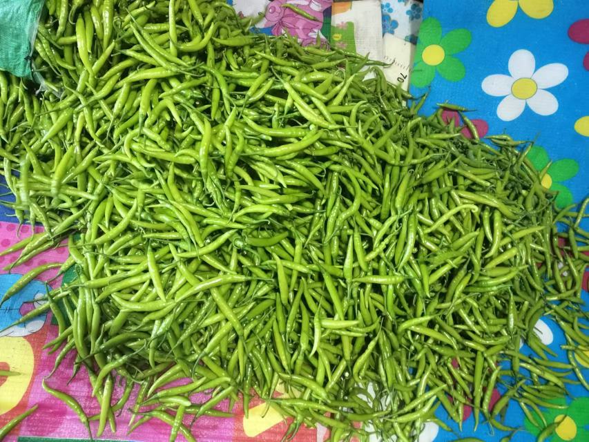 猪肝和圆椒的新鲜食材摆盘图