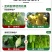 奥丰亚磷酸钾控旺控稍抑菌防溃疡病膨果增产调节生长保花保果