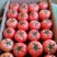湖北西红柿大量供应一手货源产地直供欢迎来电诚信经营