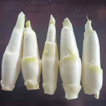 精品茭白一手货源基地直发价格便宜