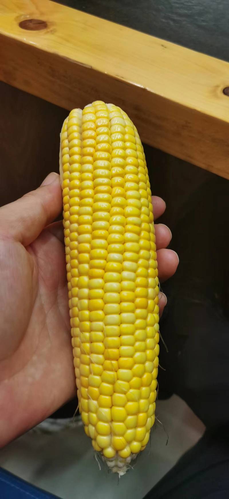 甜糯玉米内蒙