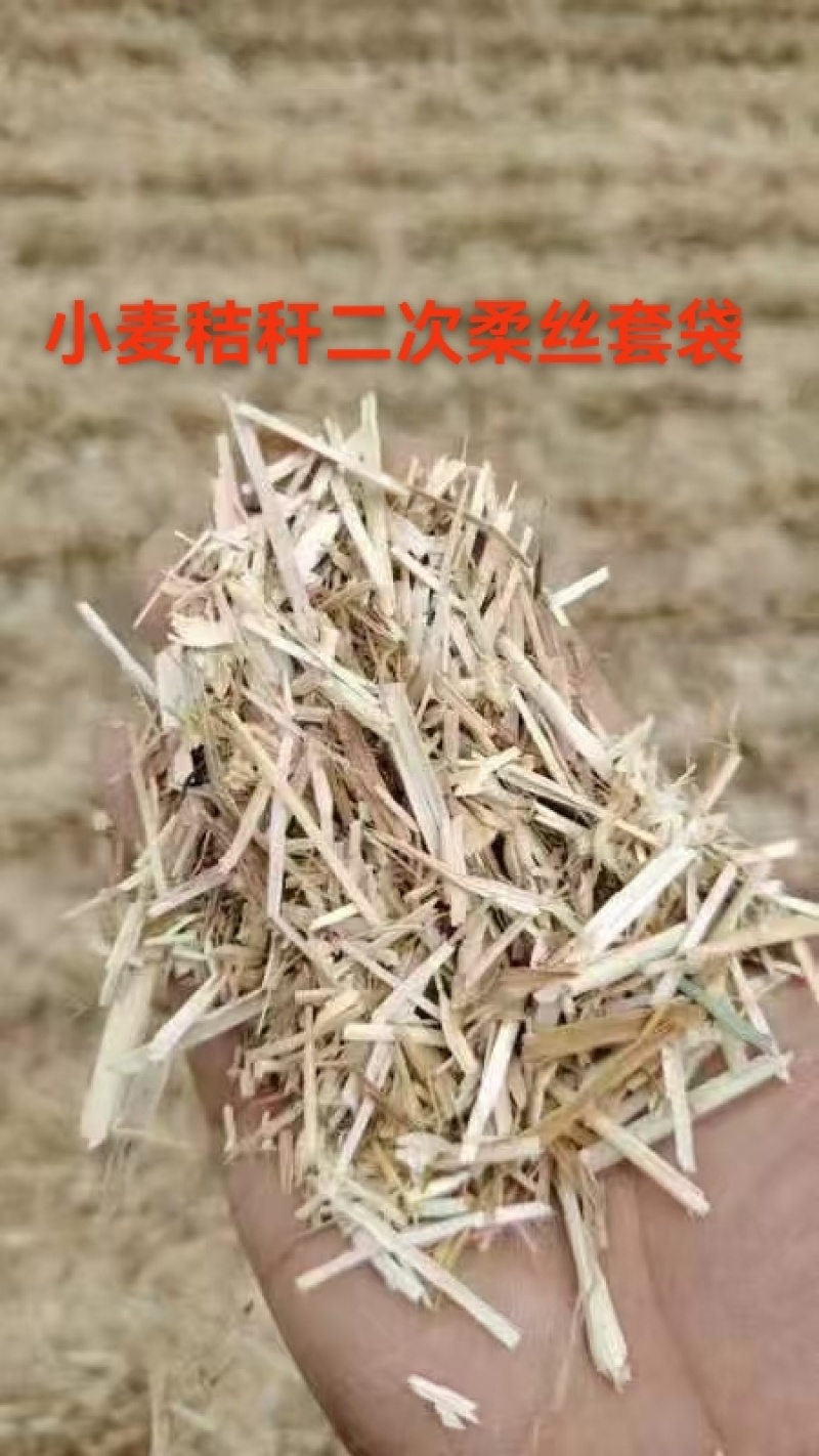 2024新花生秧已上市