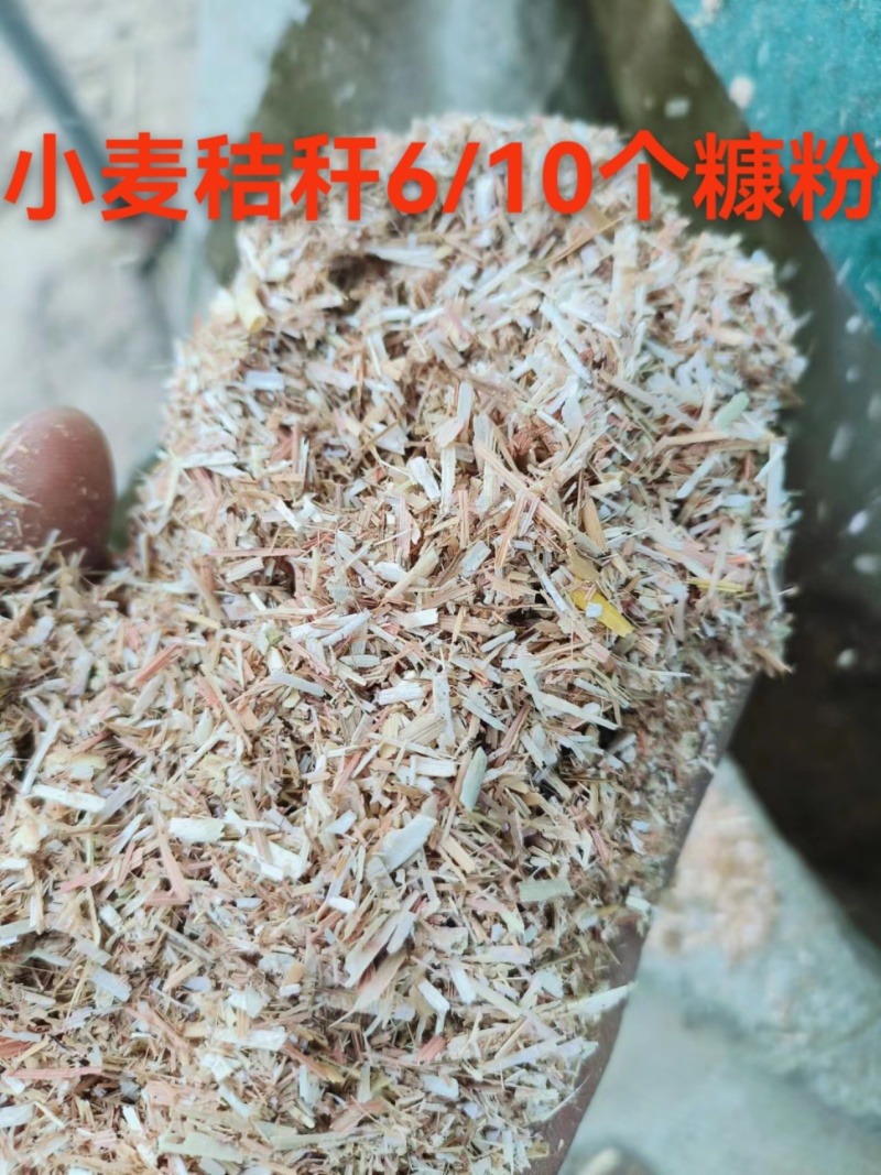 2024新花生秧已上市