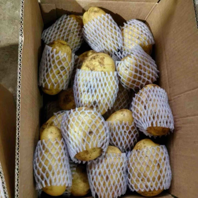 土豆（祥佳蔬菜优质货源，产地直发）