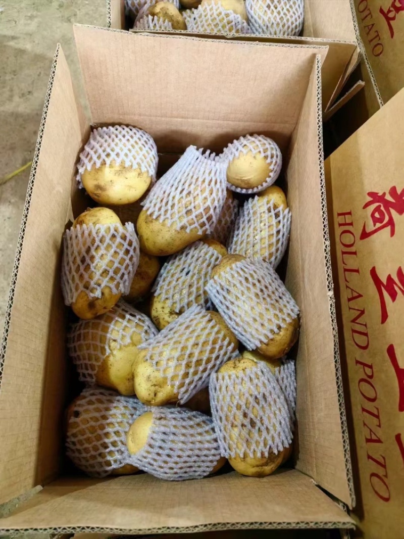 土豆（祥佳蔬菜优质货源，产地直发）