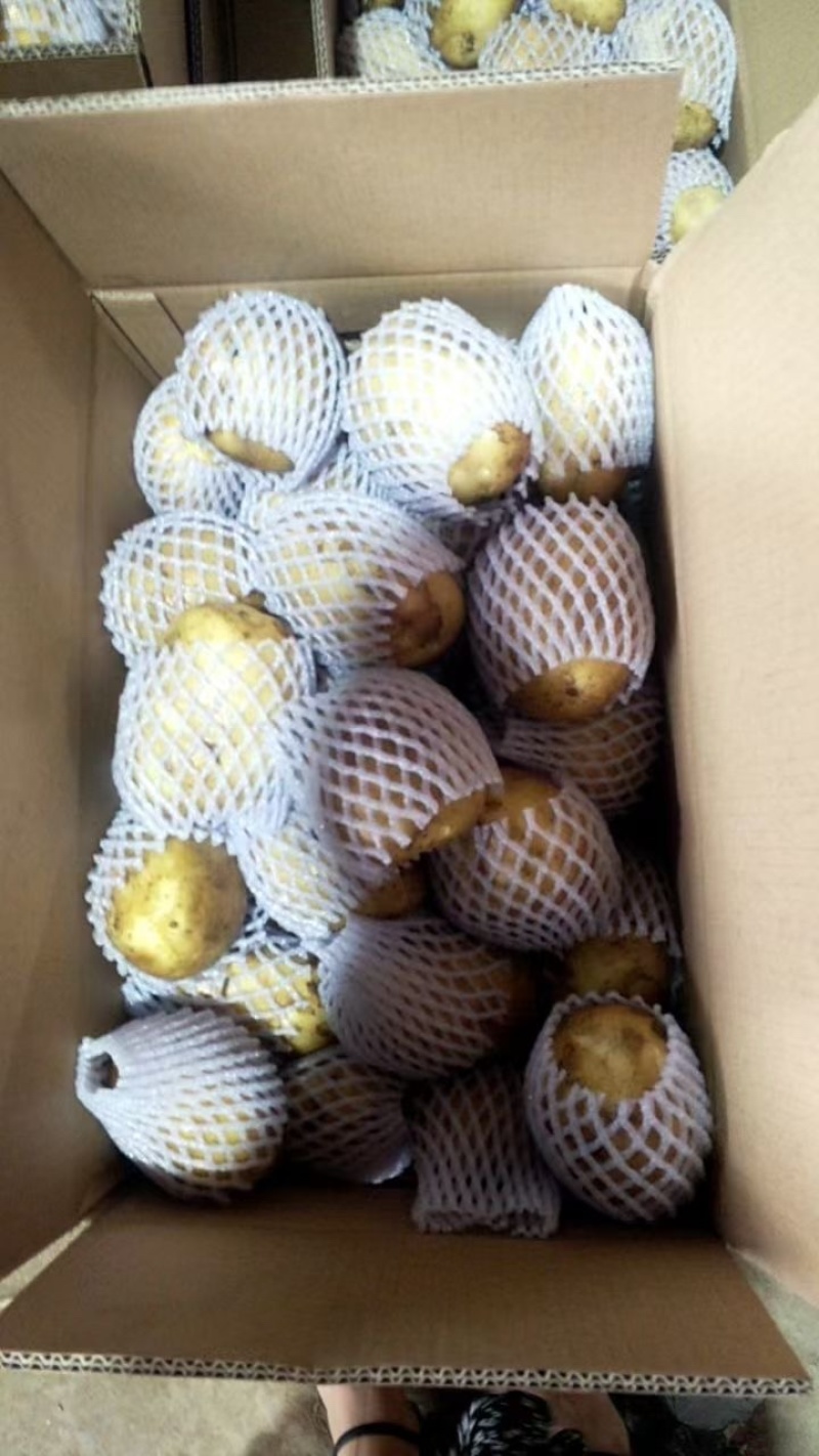 土豆（祥佳蔬菜优质货源，产地直发）