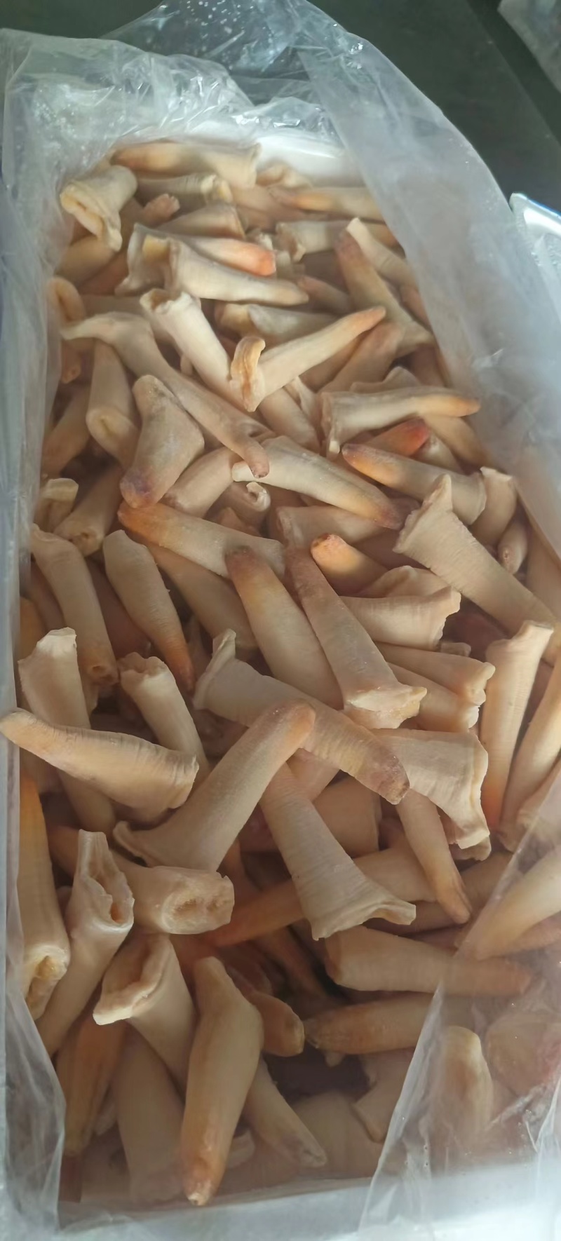 象拔蚌，价格便宜，品质保证，货源充足，规格齐全，欢迎咨询