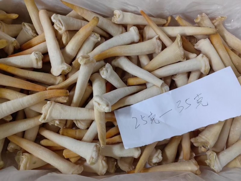 象拔蚌，价格便宜，品质保证，货源充足，规格齐全，欢迎咨询