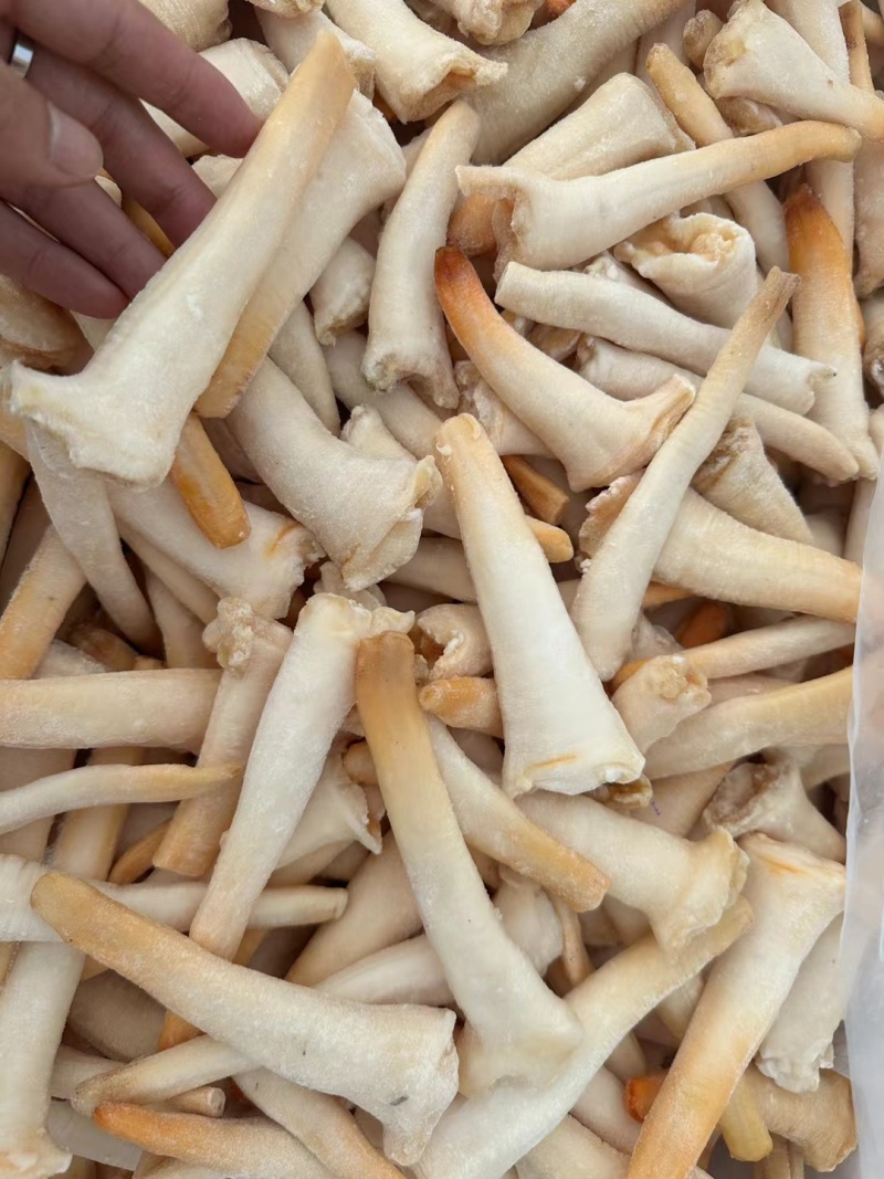 象拔蚌，价格便宜，品质保证，货源充足，规格齐全，欢迎咨询