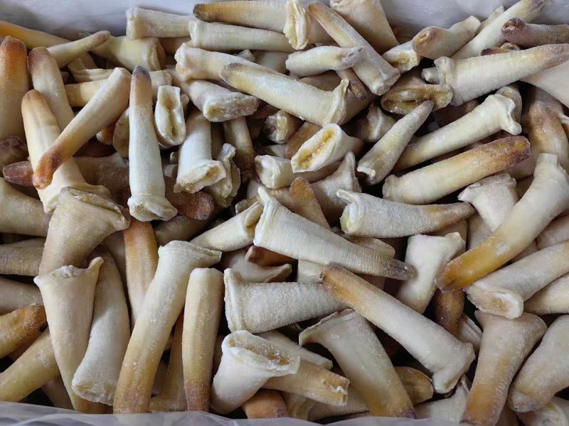 象拔蚌，价格便宜，品质保证，货源充足，规格齐全，欢迎咨询