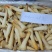 象拔蚌，价格便宜，品质保证，货源充足，规格齐全，欢迎咨询
