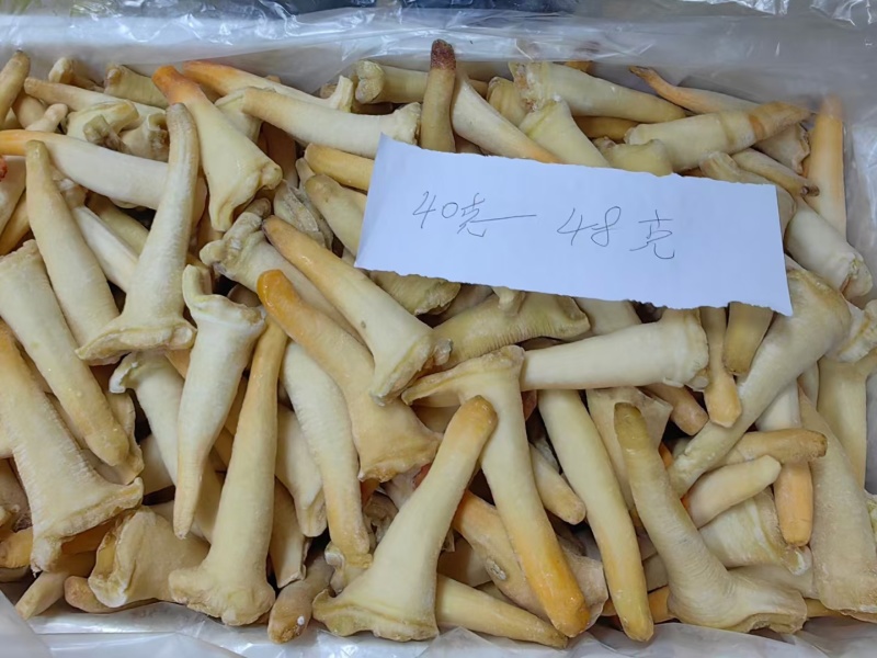象拔蚌，价格便宜，品质保证，货源充足，规格齐全，欢迎咨询