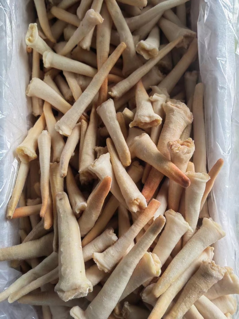 象拔蚌，价格便宜，品质保证，货源充足，规格齐全，欢迎咨询
