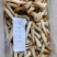 象拔蚌，价格便宜，品质保证，货源充足，规格齐全，欢迎咨询
