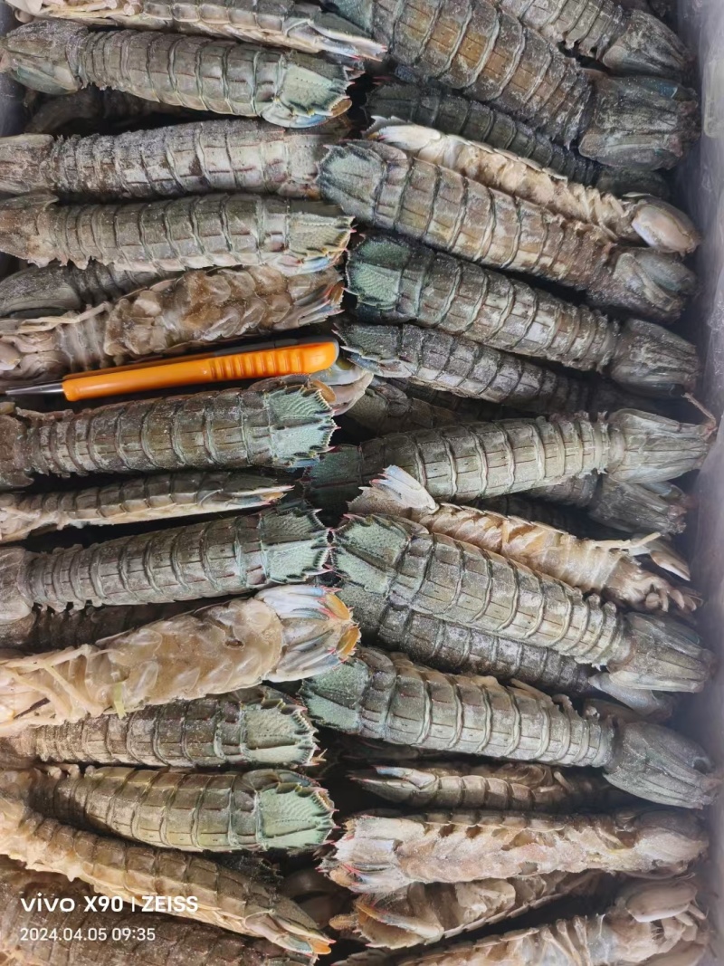 皮皮虾，生冻虾爬子，品质好，价格便宜，货源充足，欢迎咨询