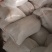 红薯粉大量供应产地一手货源，量大从优，一条龙服务