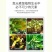 厂家直销速效+长效氮肥现货直发