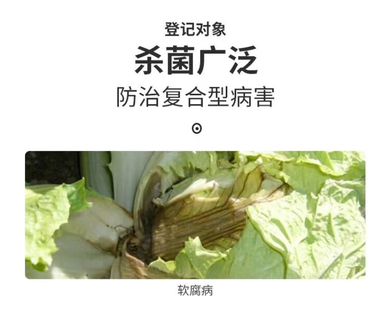 氯溴异氰尿酸杀菌剂细菌真菌病毒草莓炭疽病软腐病土壤消毒