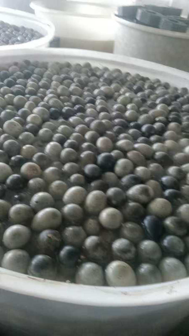 厂家直发黑皮蛋货源充足，300公里内免费送货