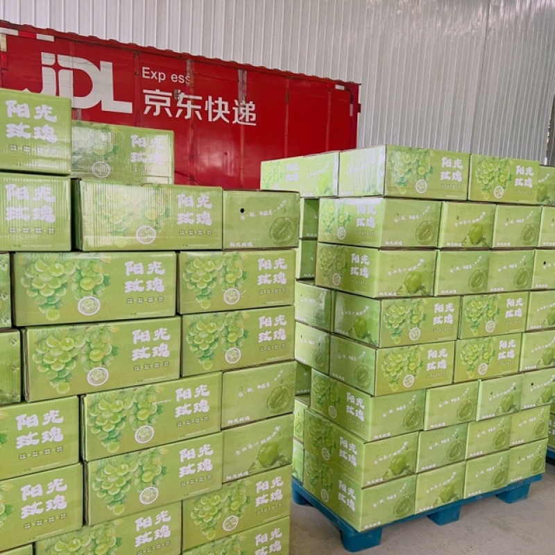 阳光玫瑰京东发货单果10g+果肉超细腻，水润甜蜜！