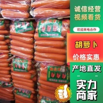 精品胡萝卜大量上市条形正卖相好对接超市商场电商