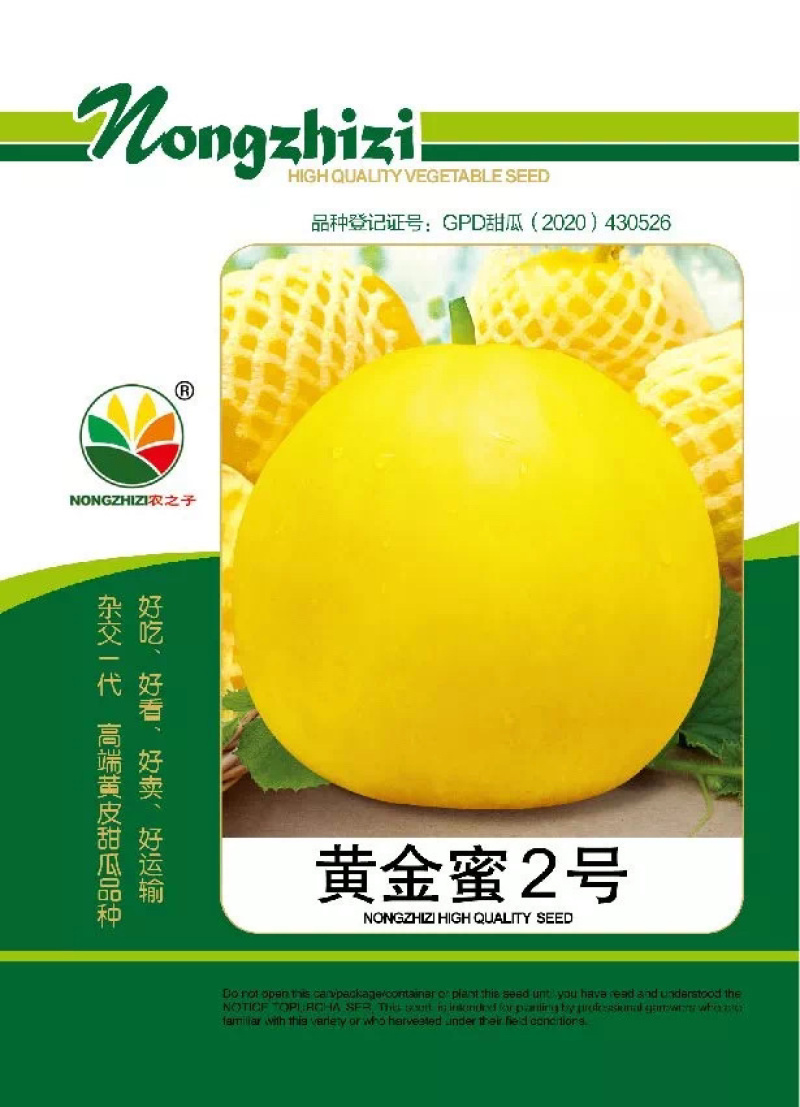 黄金蜜2号杂交丑八怪黄薄皮甜瓜梨瓜种子高产抗病早熟春夏